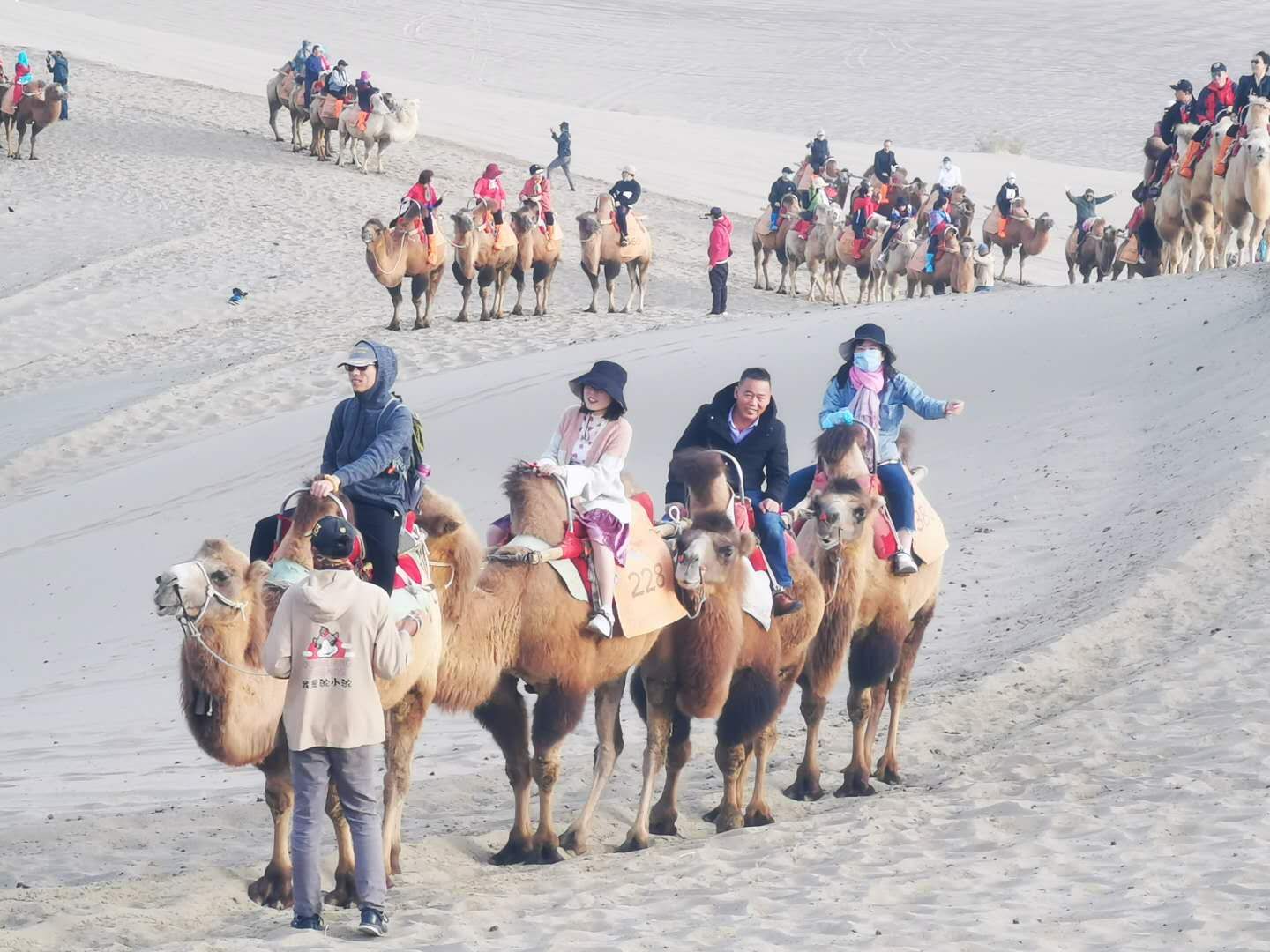 首页- 人生就是博中国官方网站