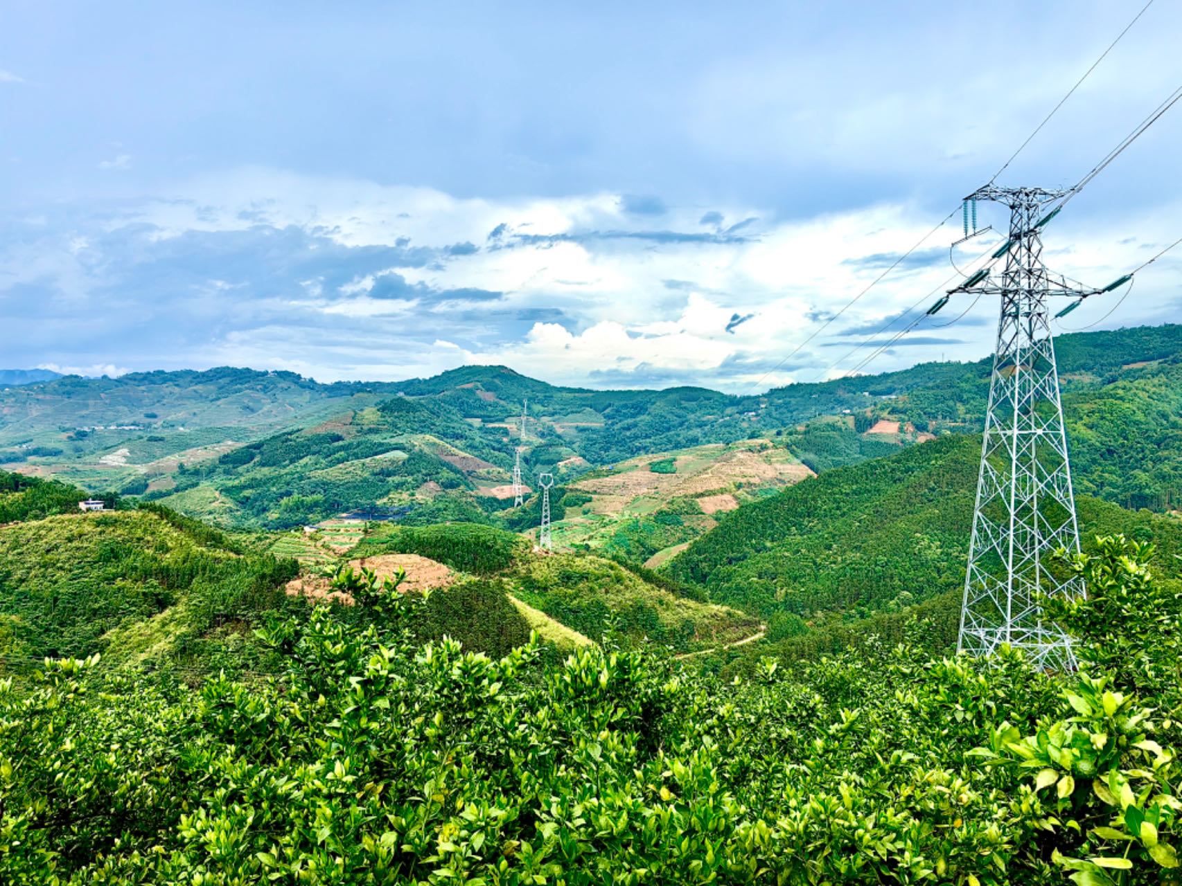 首页- 人生就是博中国官方网站
