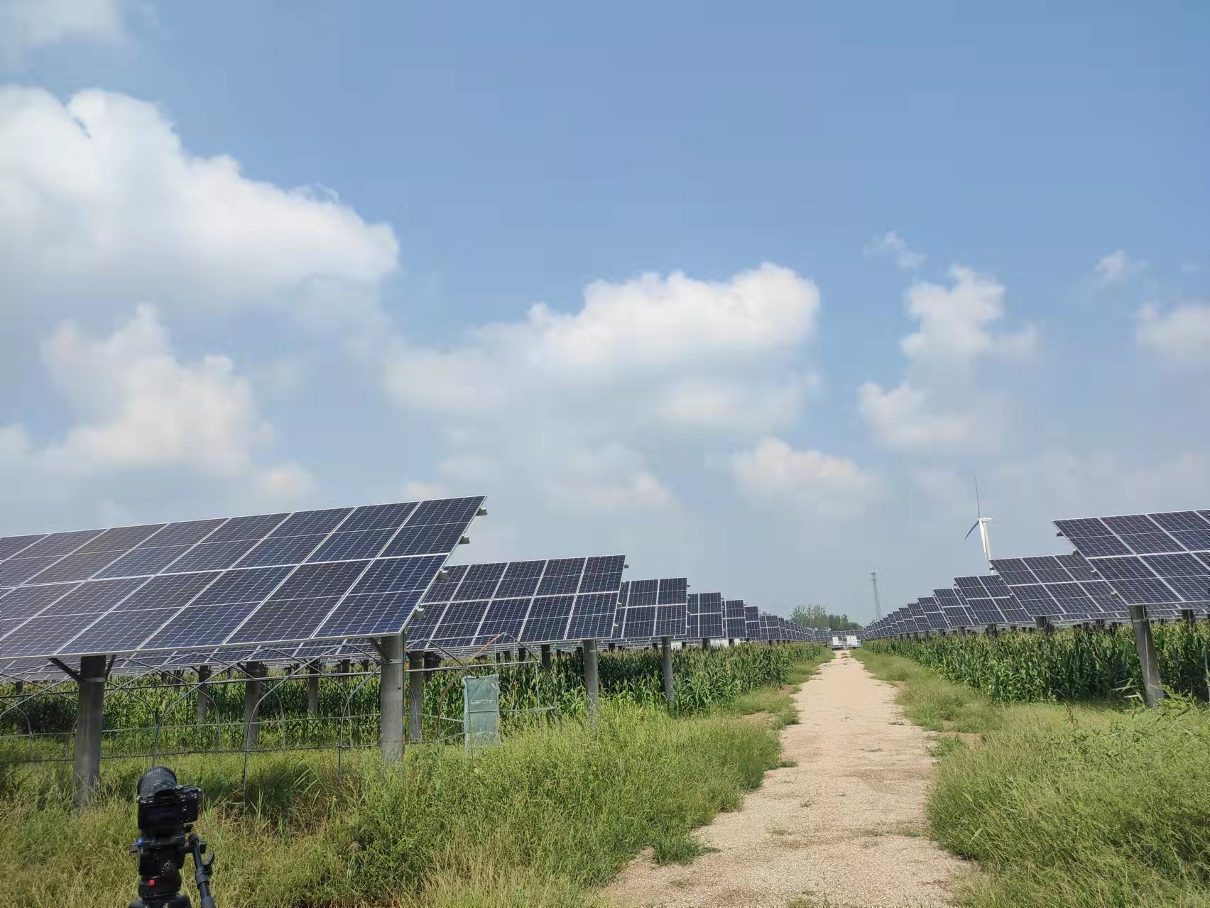 首页- 人生就是博中国官方网站