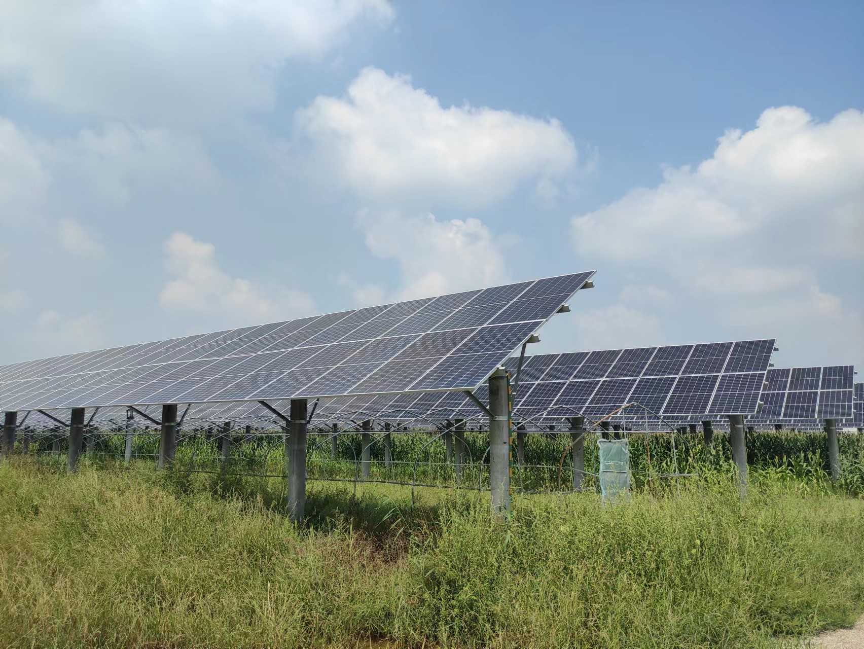 ��ҳ- �������ǲ��й��ٷ���վ